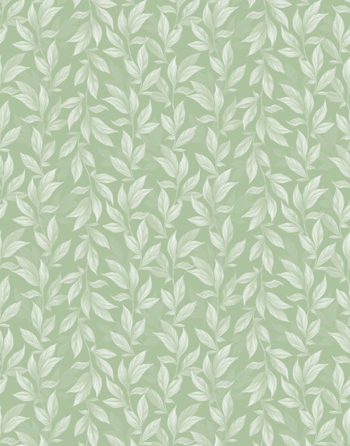 Vine