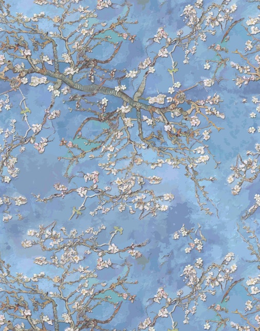 Branch