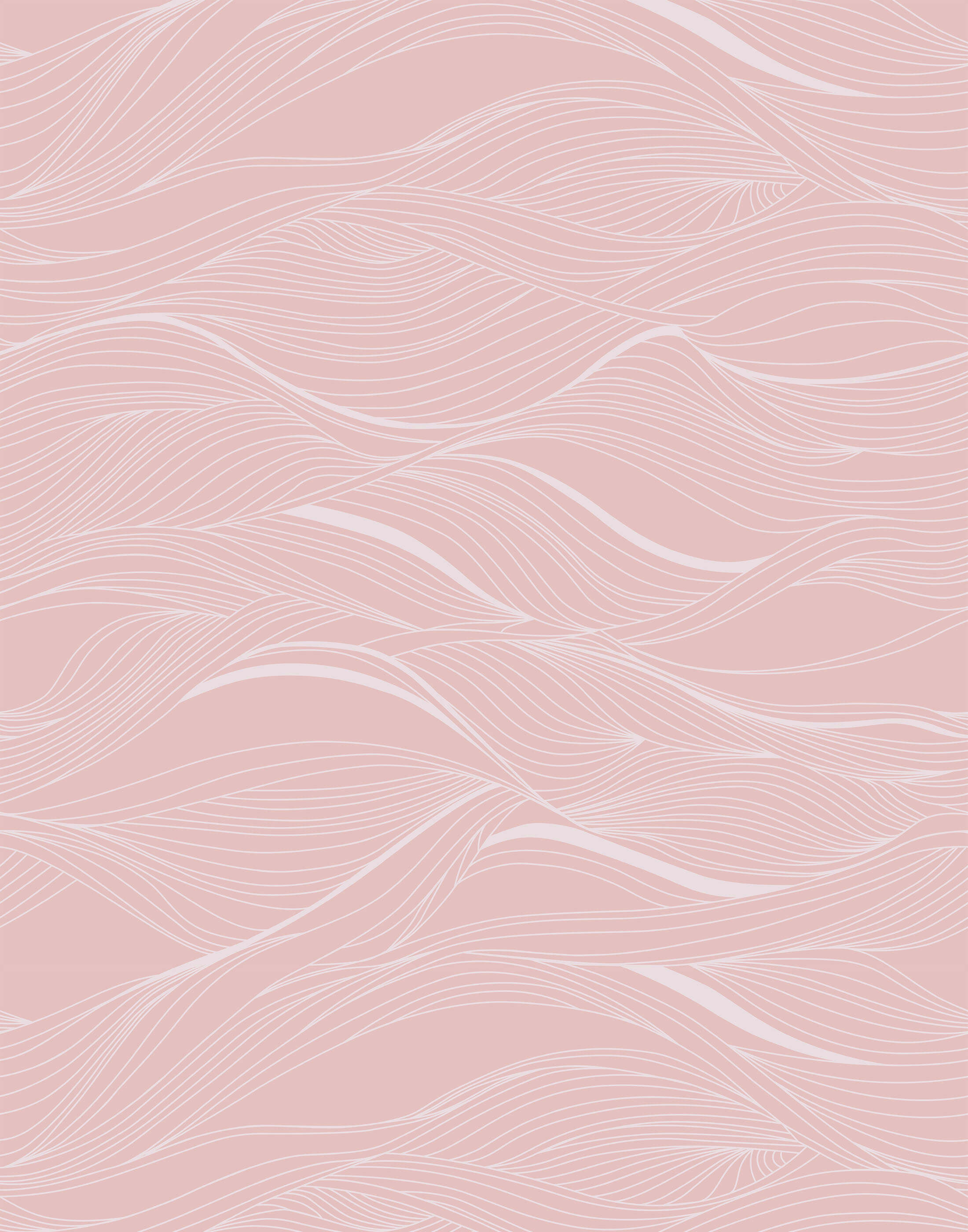 Pink Wallpapers Free HD Download 500 HQ  Unsplash