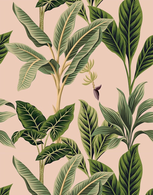 Pink Wallpaper Aesthetic 50 Designs With Light Dark Options Bobbi Beck