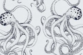 Kraken