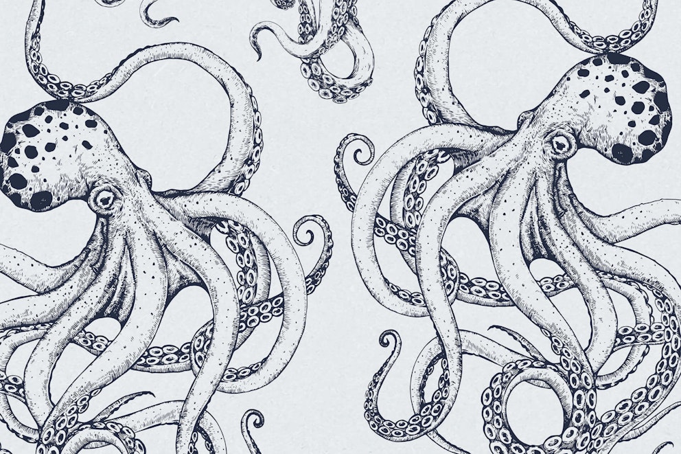 Kraken