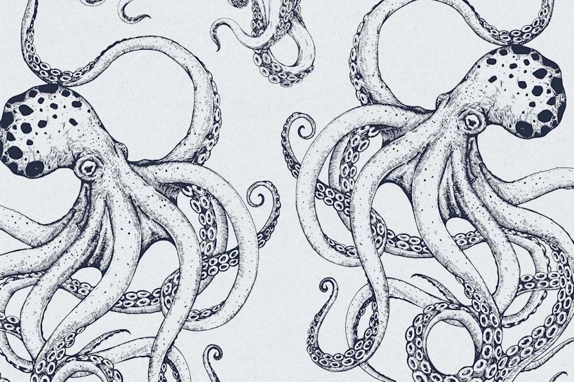 Kraken