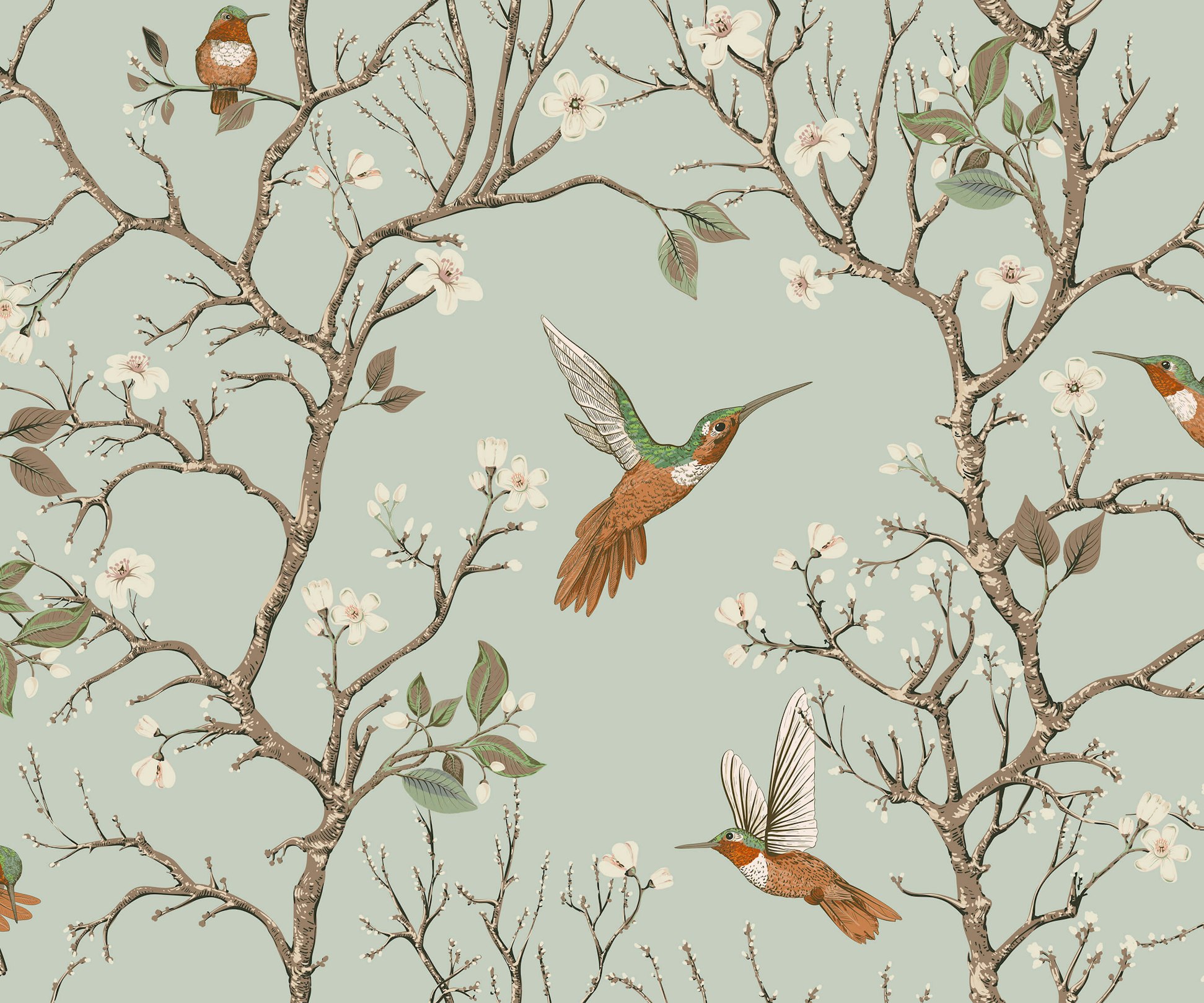 Hummingbird Wallpaper | Bird & Tree Design | Modern Chinoiserie Style