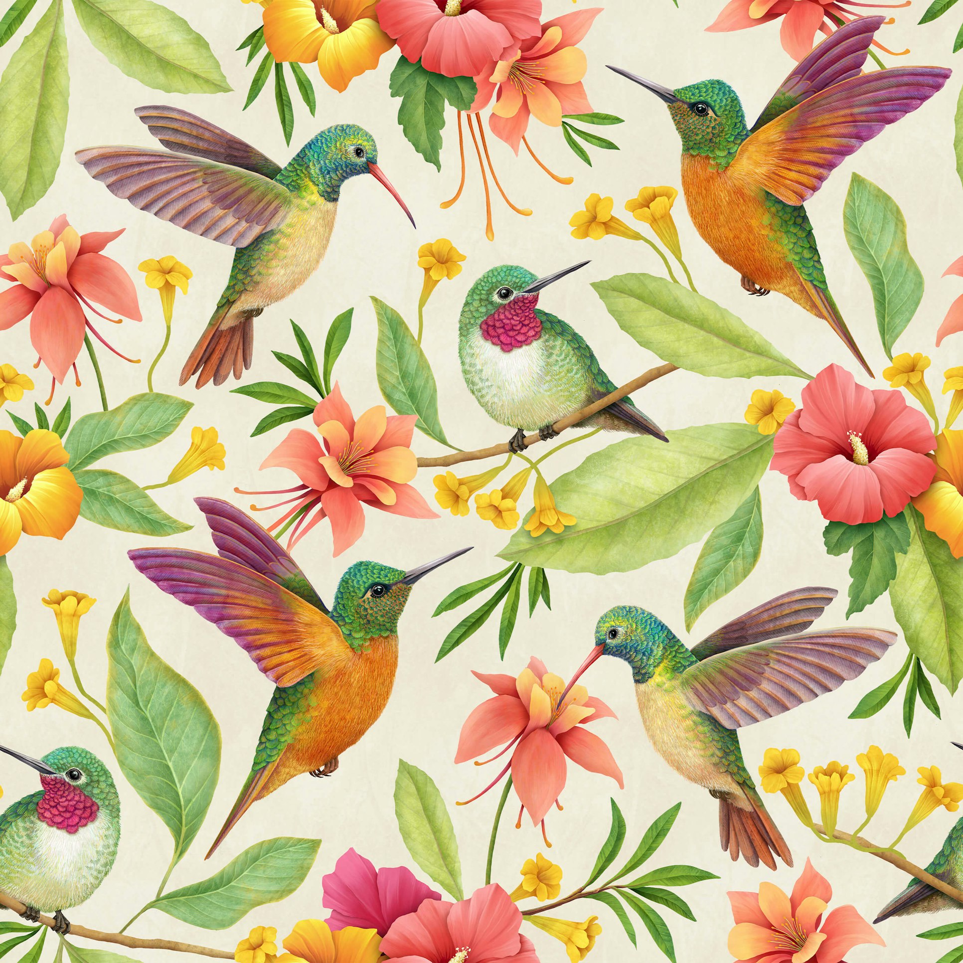 Hummingbird & Flower Wallpaper | Amazing Floral Design | Bobbi Beck