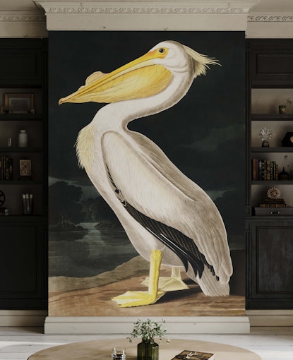 Pelly