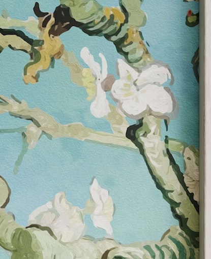 Blossom