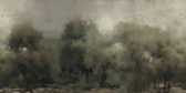 abstract forest wallpaper