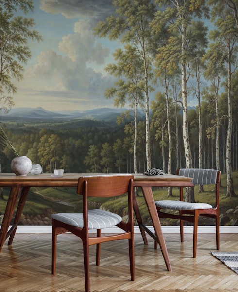 Birch forest wallpaper