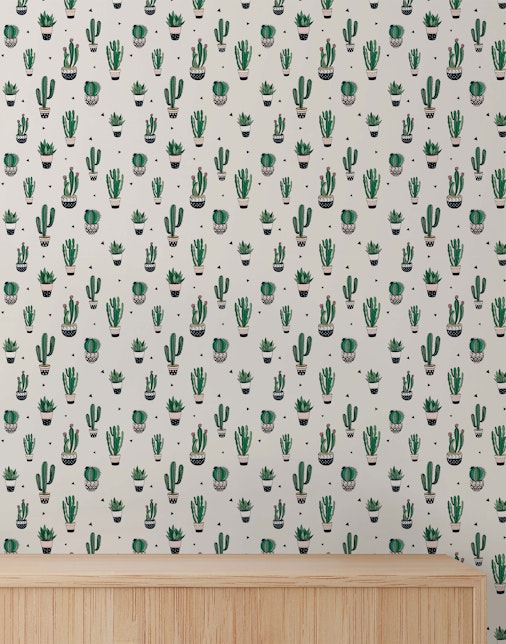 cactus wallpaper