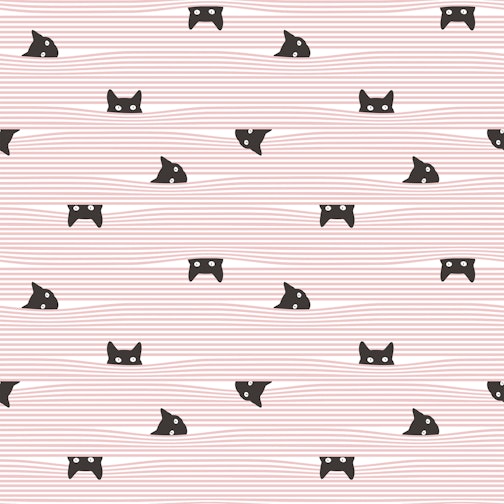 gato