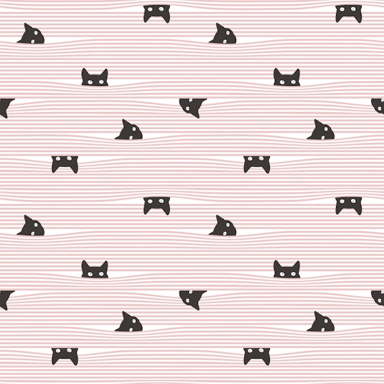 gato