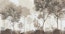 Roam Image 2