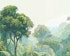Monteverde