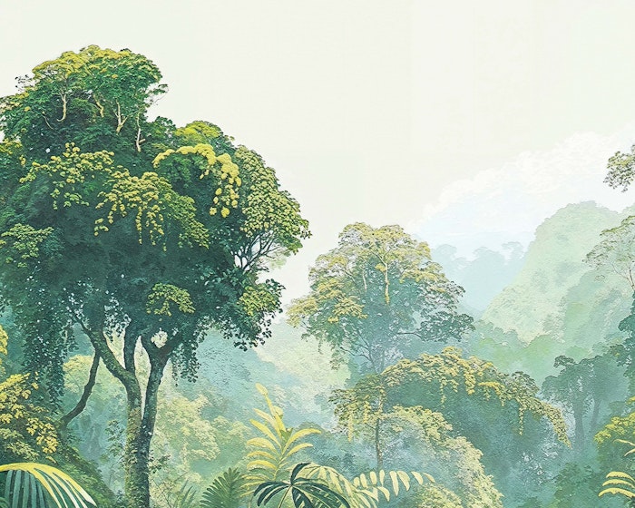 Monteverde