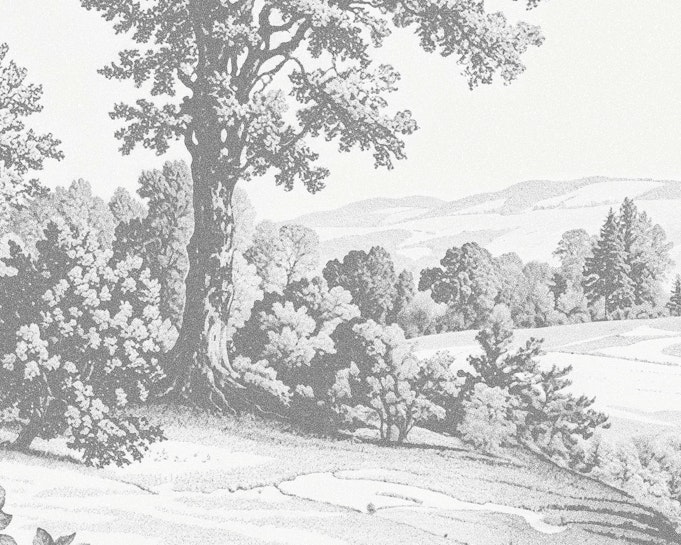 Lepare Image 3