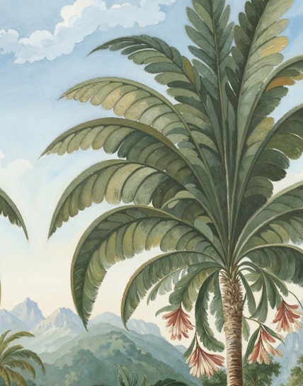 Dahinva Image 3