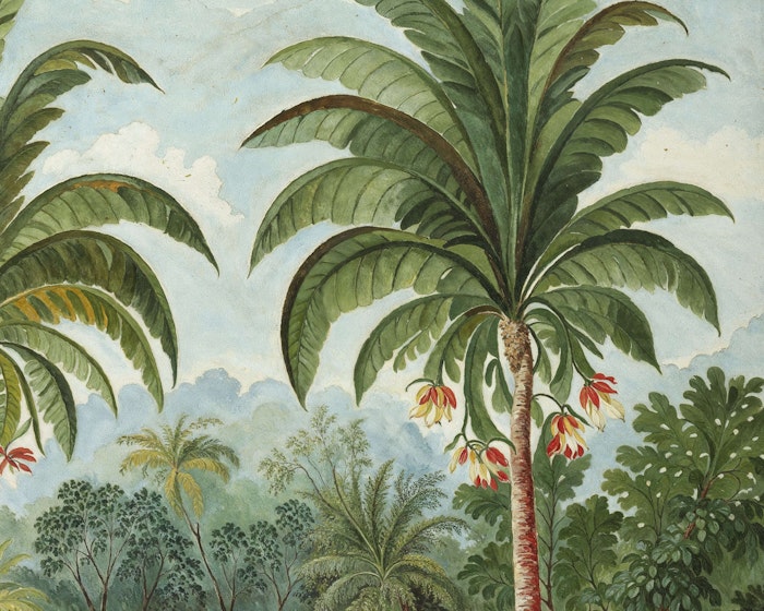 Dahinva Image 4