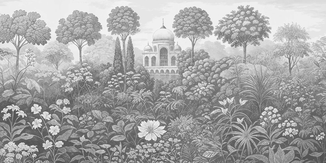 Chandri