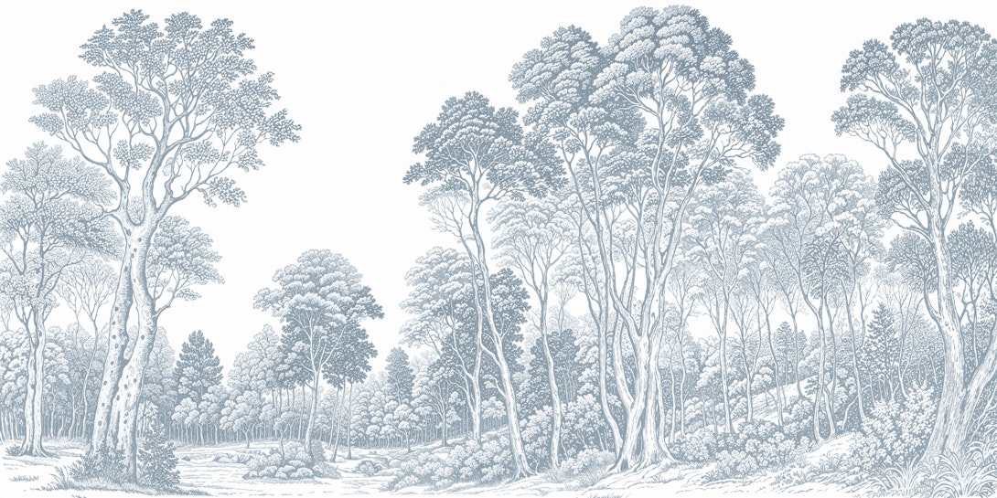 Bracken