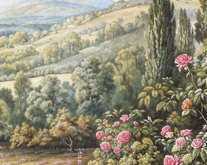 Amberley Image 9