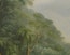 Coco Image 5