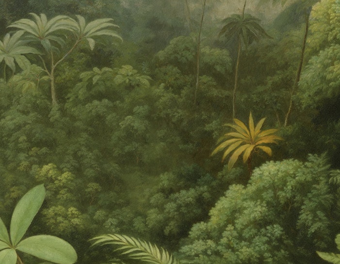 Coco Image 4