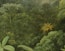 Coco Image 4