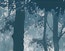 Hoxton Image 3