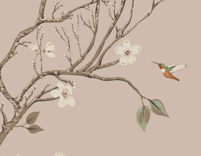 Austen Image 4