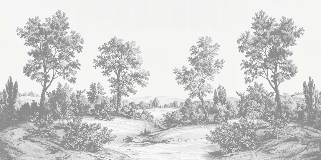 Lepare Image 2