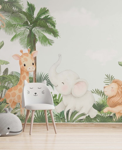 Safari
