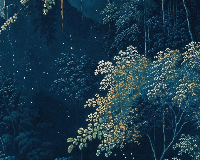 Sora