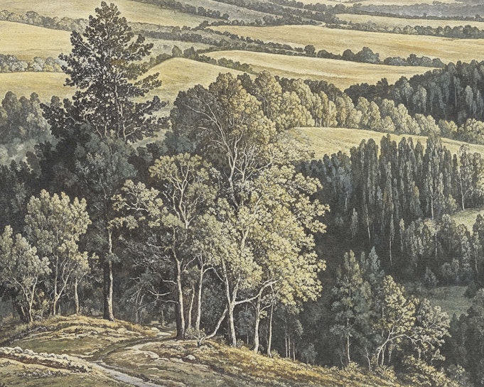 Cohen Image 5
