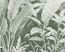 Camacho