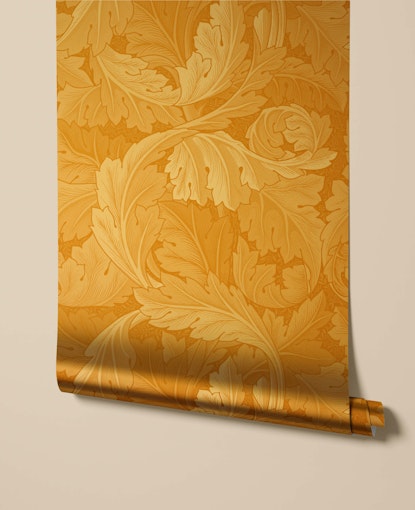 Acanthus