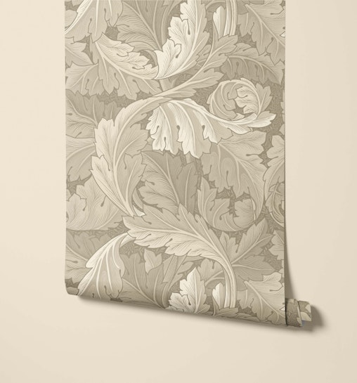 acanthus