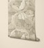 acanthus