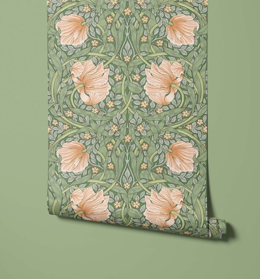 Pimpernel
