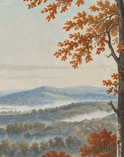 Tumnal Image 3