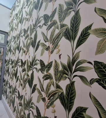 Flora