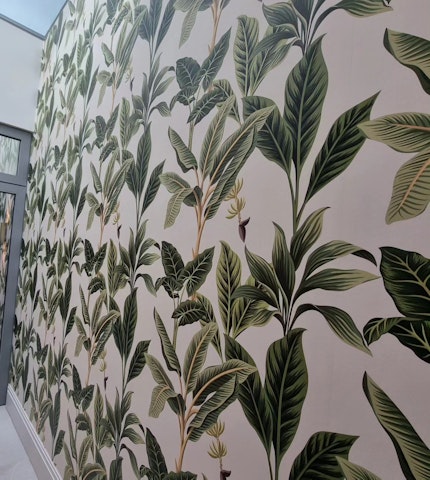 Flora