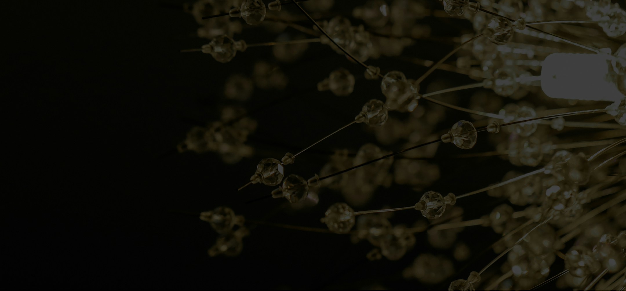 Dr. Guy Cappuccino website Banner media