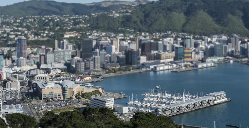 Build Wellington Development Framework | Case Study | TPG NZ