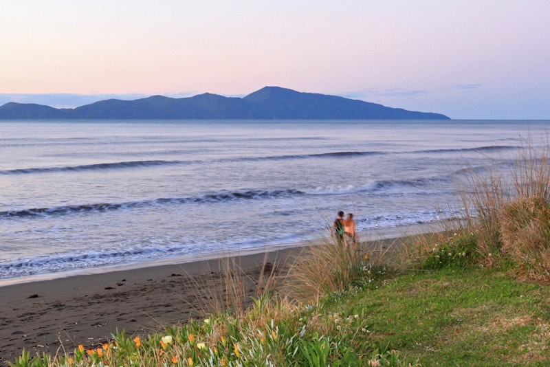 Kapiti Coast Housing Pressures | Case Study | TPG NZ