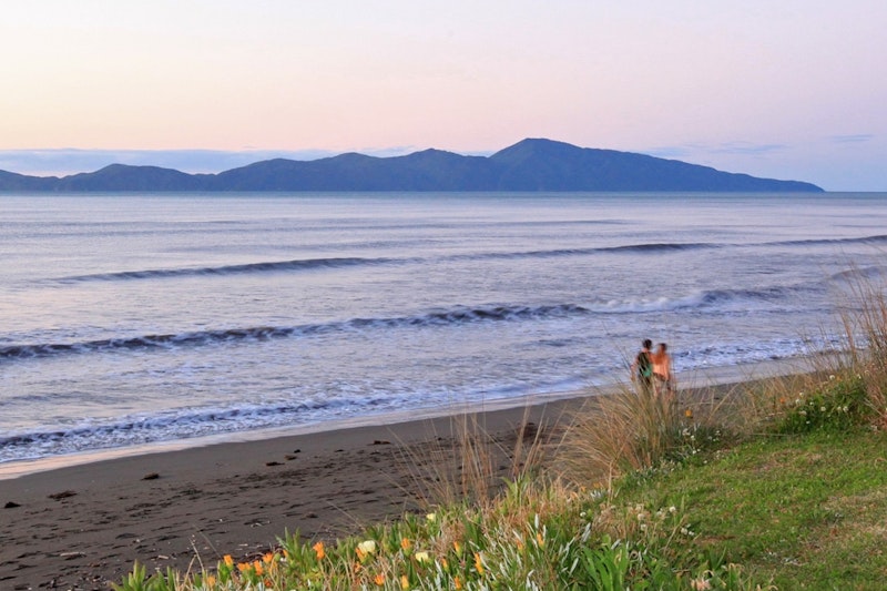 Kapiti Coast Housing Pressures | Case Study | TPG NZ