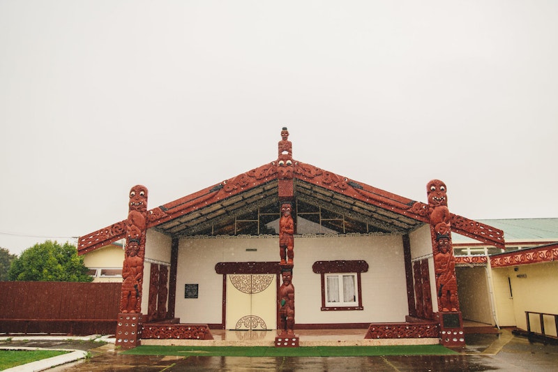 Te Puea Memorial Marae housing needs | Case Study | TPG NZ
