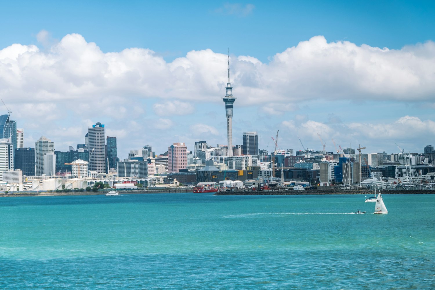 Auckland | The Property Group NZ