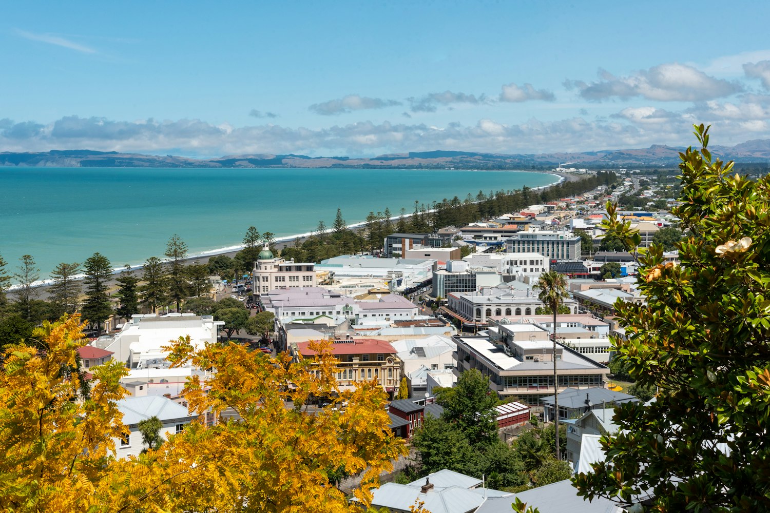 Napier | The Property Group NZ