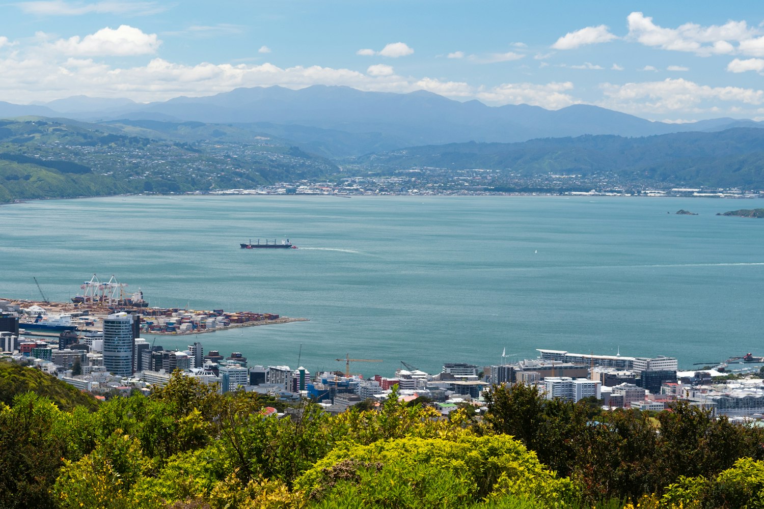 Wellington | The Property Group NZ